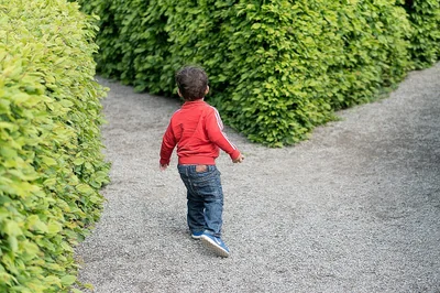 Référencement naturel vs. payant en 2026 : quelle stratégie est la plus efficace ?